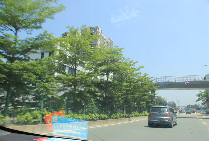 深圳北站周边绿化景观提升工程